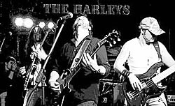The Harleys - Young Rockers Matinee Jan 5th